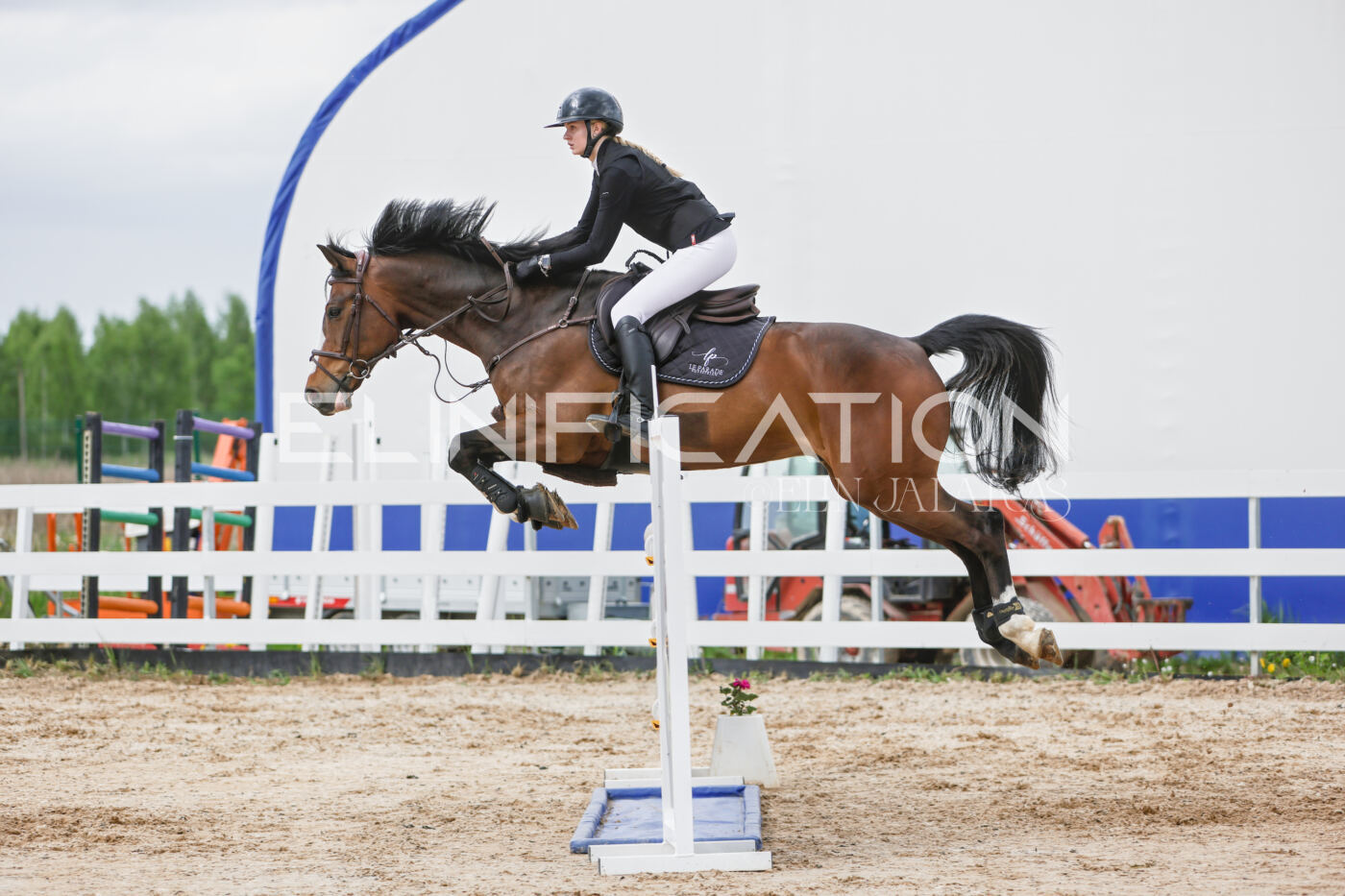 Gramina_Kevad_2026_120_343