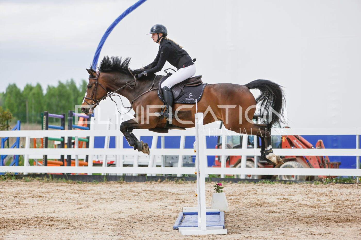 Gramina_Kevad_2026_120_344