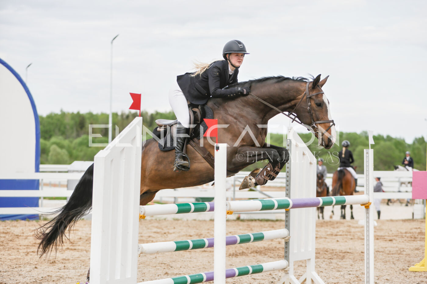Gramina_Kevad_2026_120_345