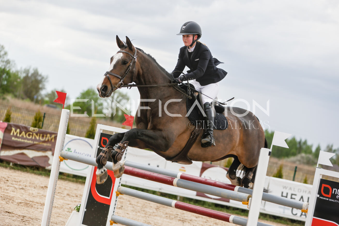 Gramina_Kevad_2026_120_355