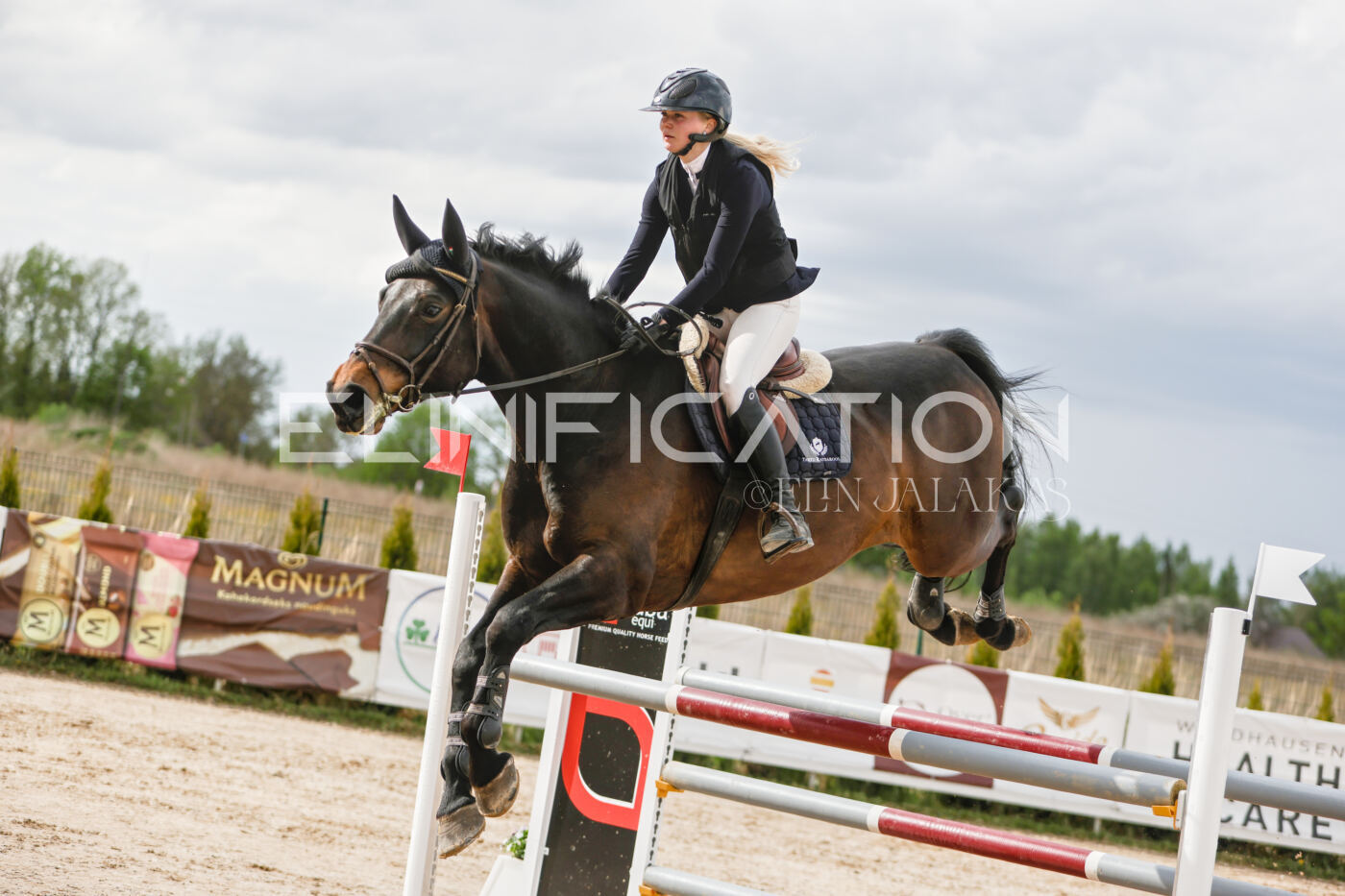 Gramina_Kevad_2026_120_370
