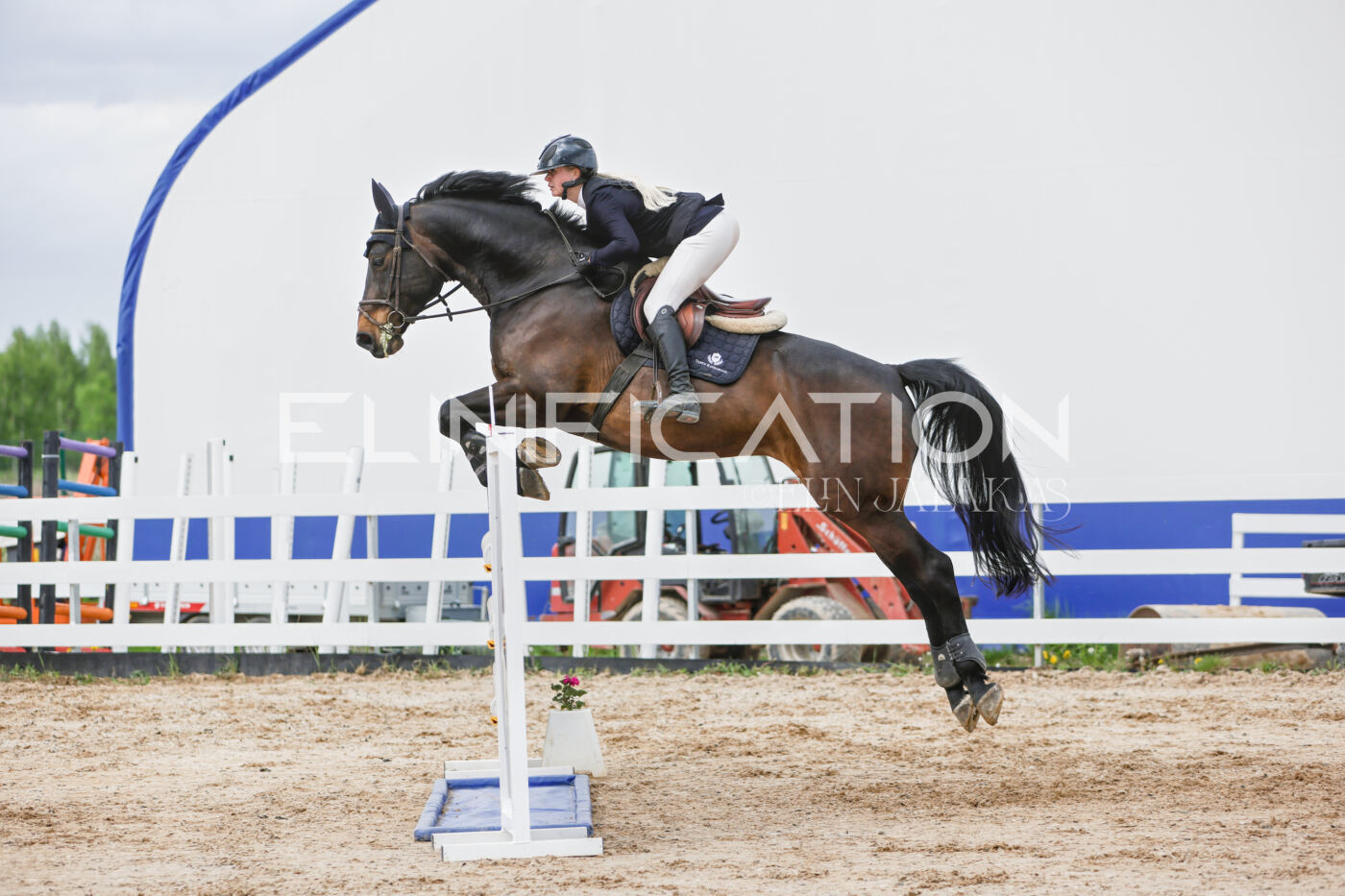 Gramina_Kevad_2026_120_375