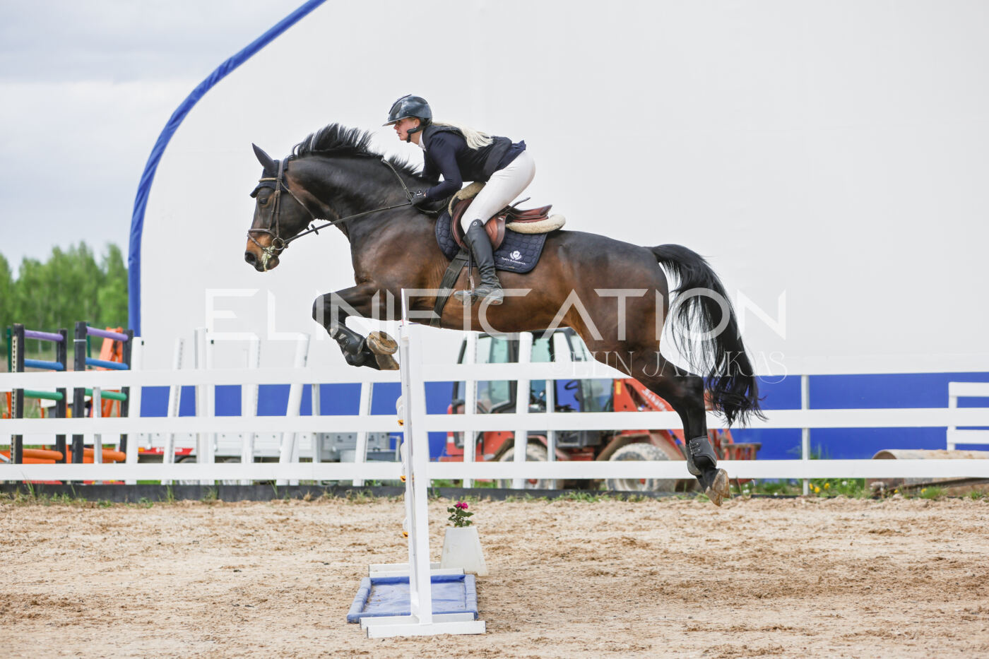 Gramina_Kevad_2026_120_376