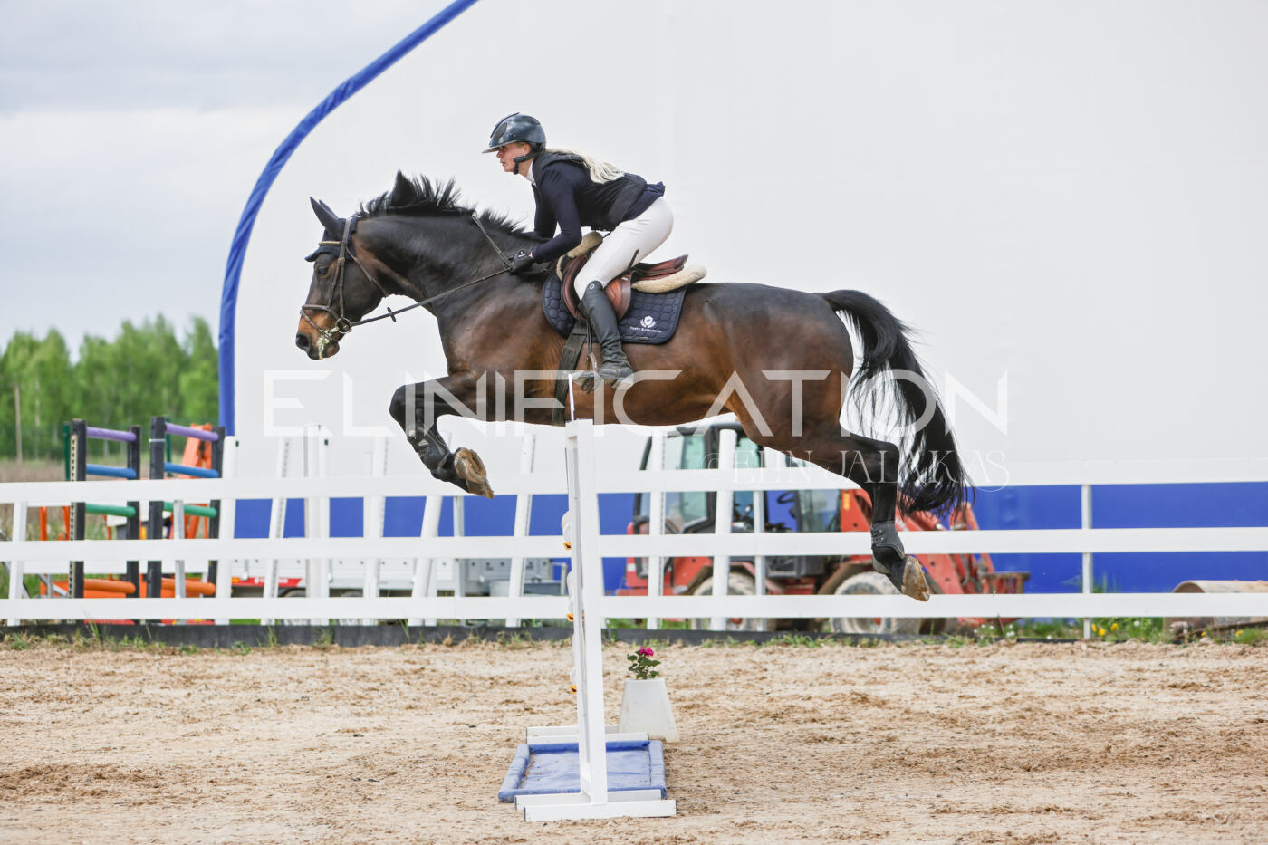 Gramina_Kevad_2026_120_377
