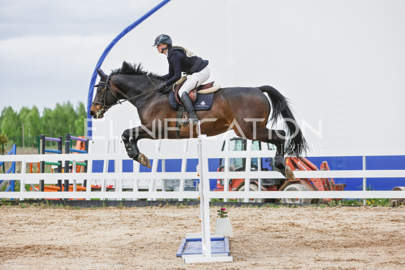 Gramina_Kevad_2026_120_378