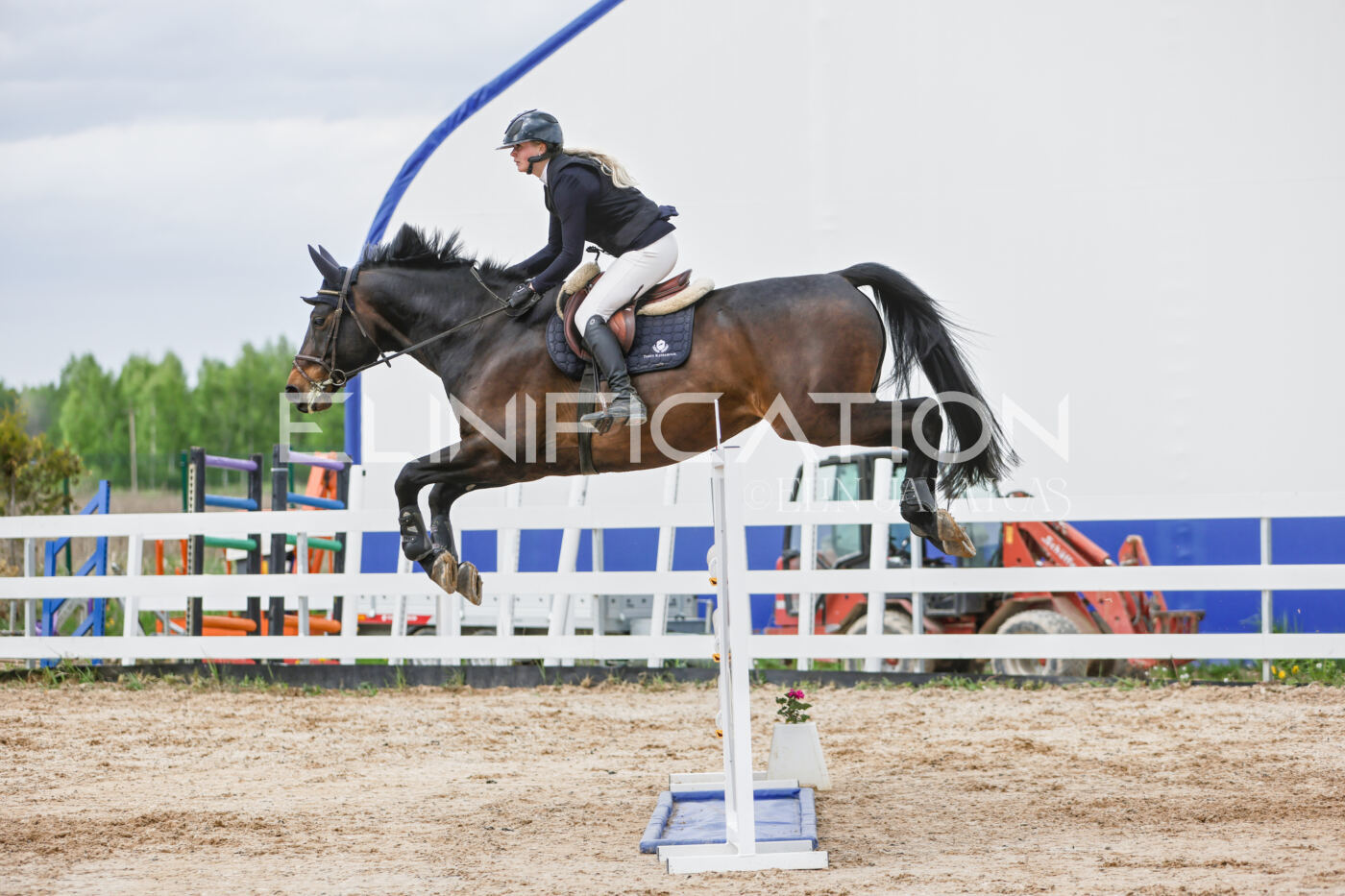Gramina_Kevad_2026_120_379