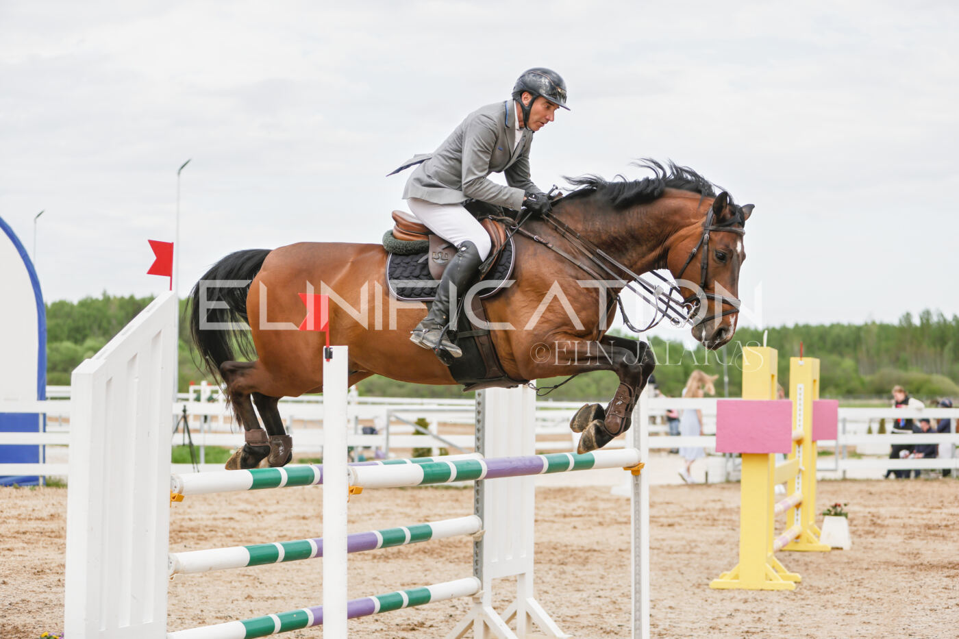 Gramina_Kevad_2026_120_382
