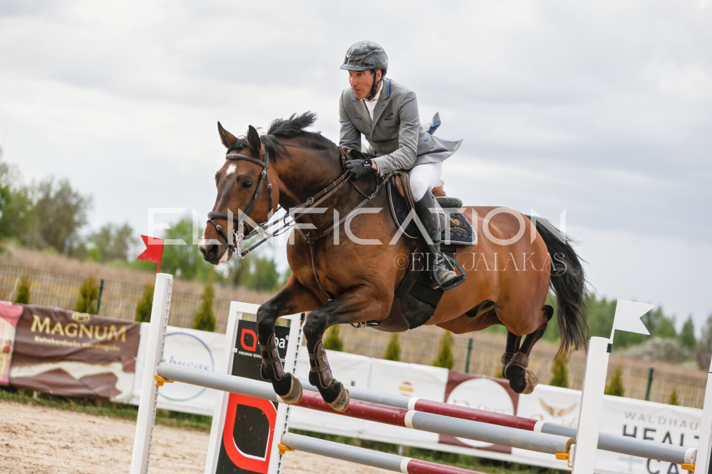 Gramina_Kevad_2026_120_384