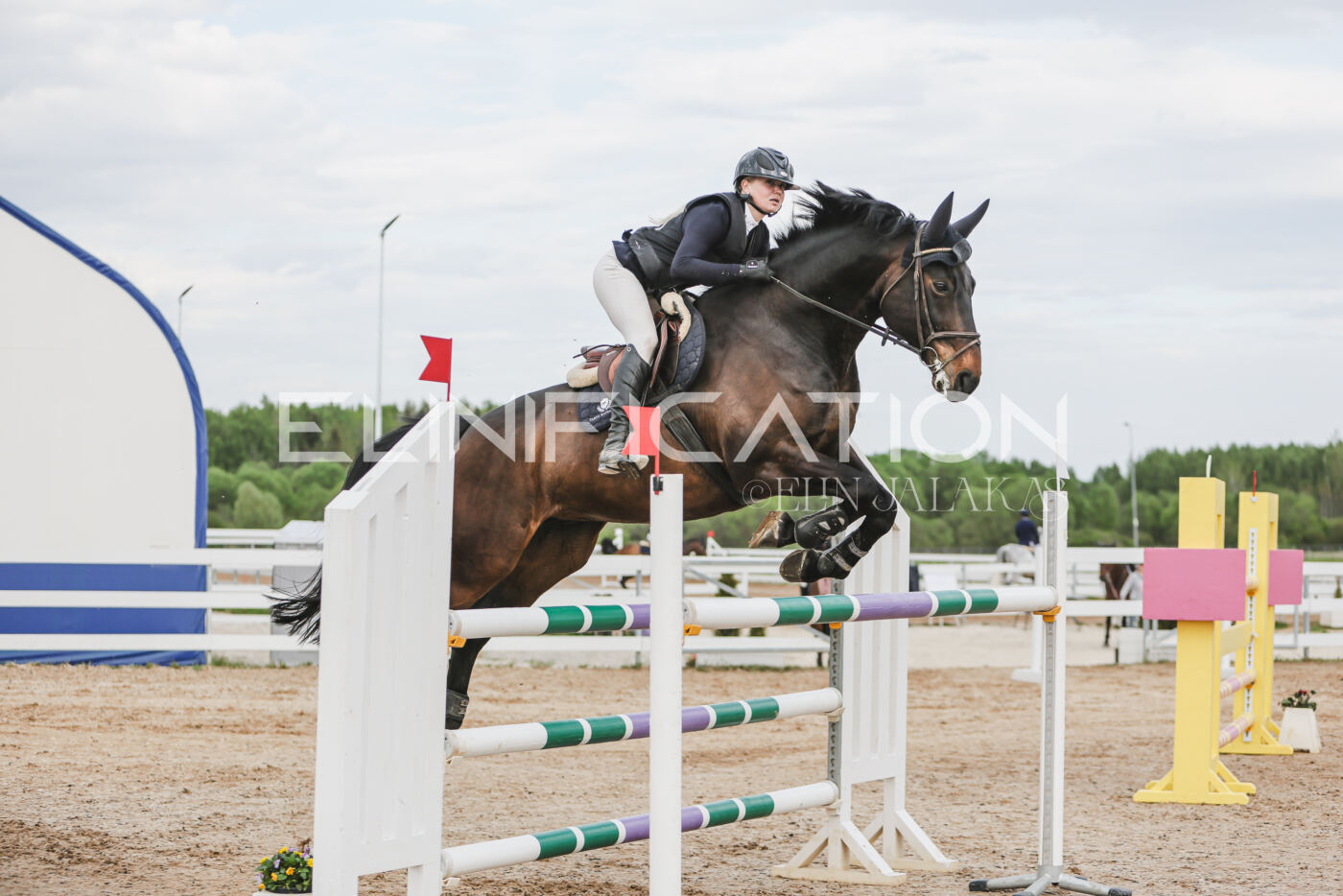 Gramina_Kevad_2026_hc130-135_002