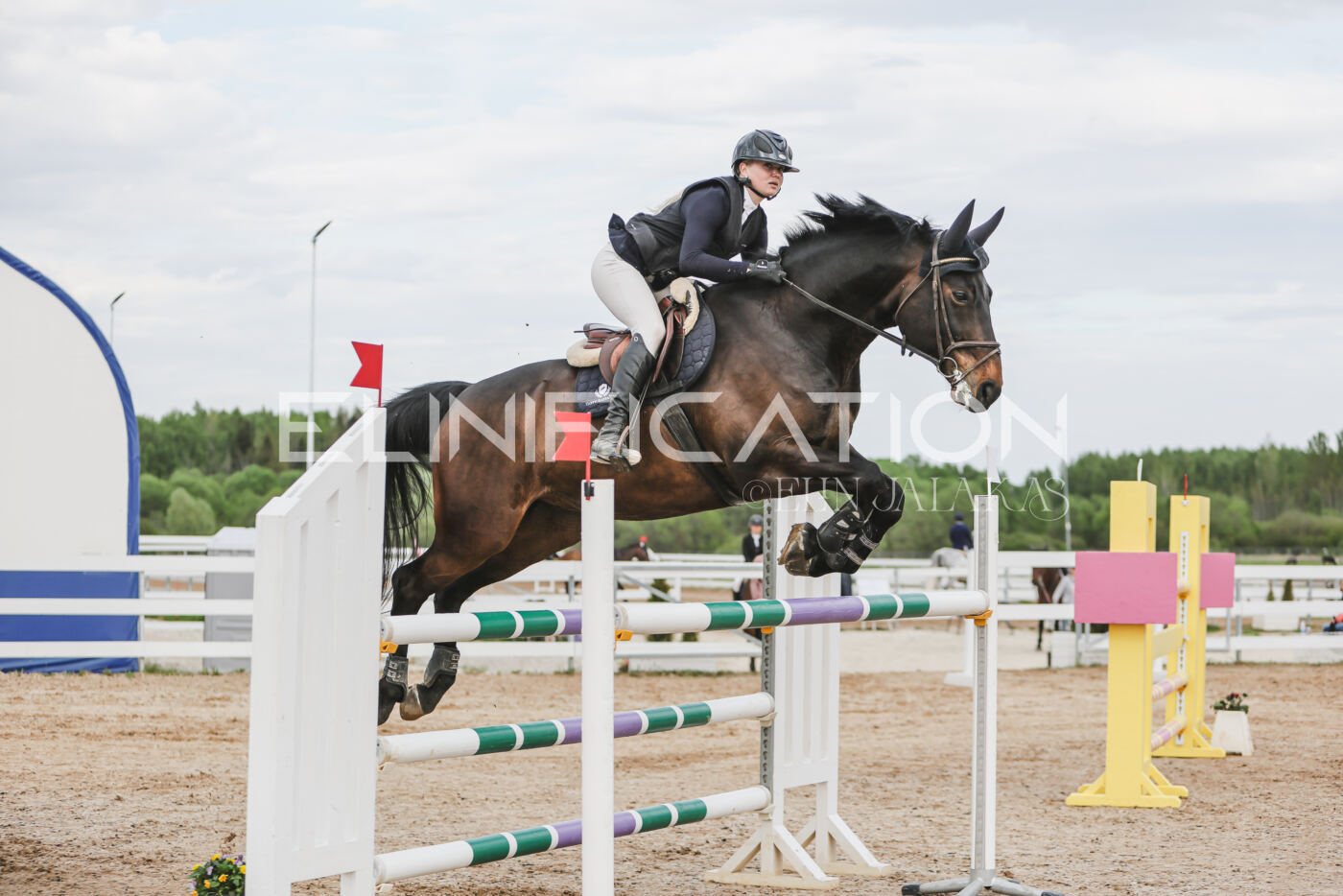 Gramina_Kevad_2026_hc130-135_003