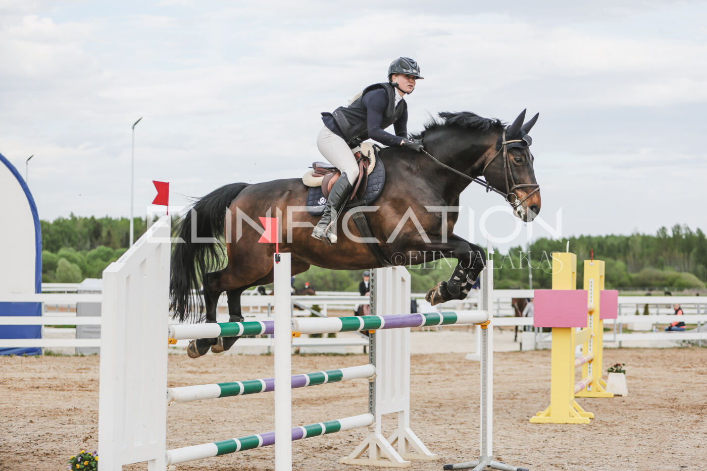 Gramina_Kevad_2026_hc130-135_004