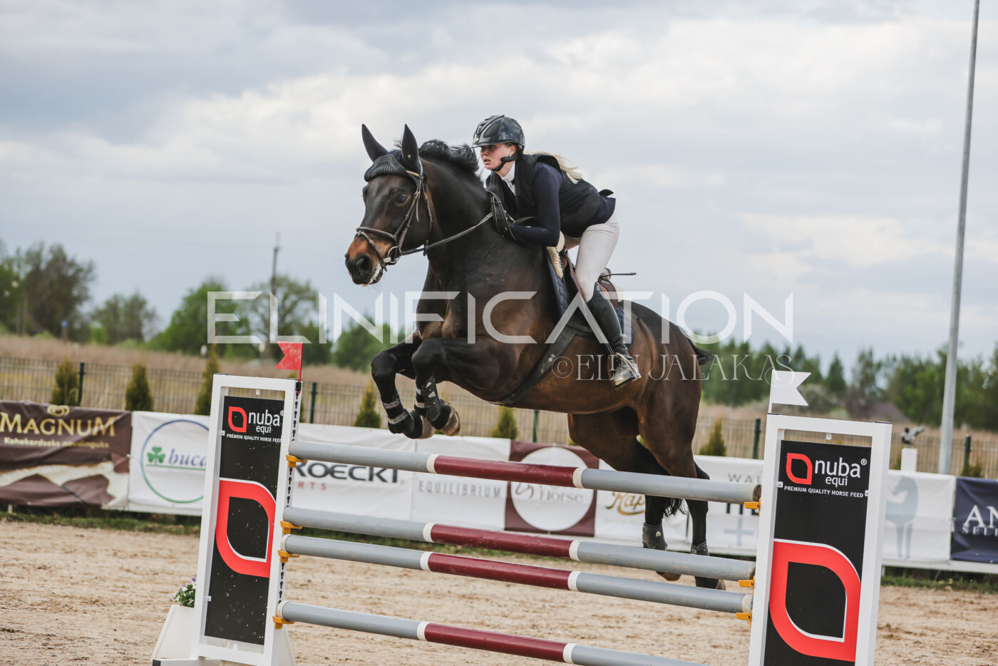 Gramina_Kevad_2026_hc130-135_010