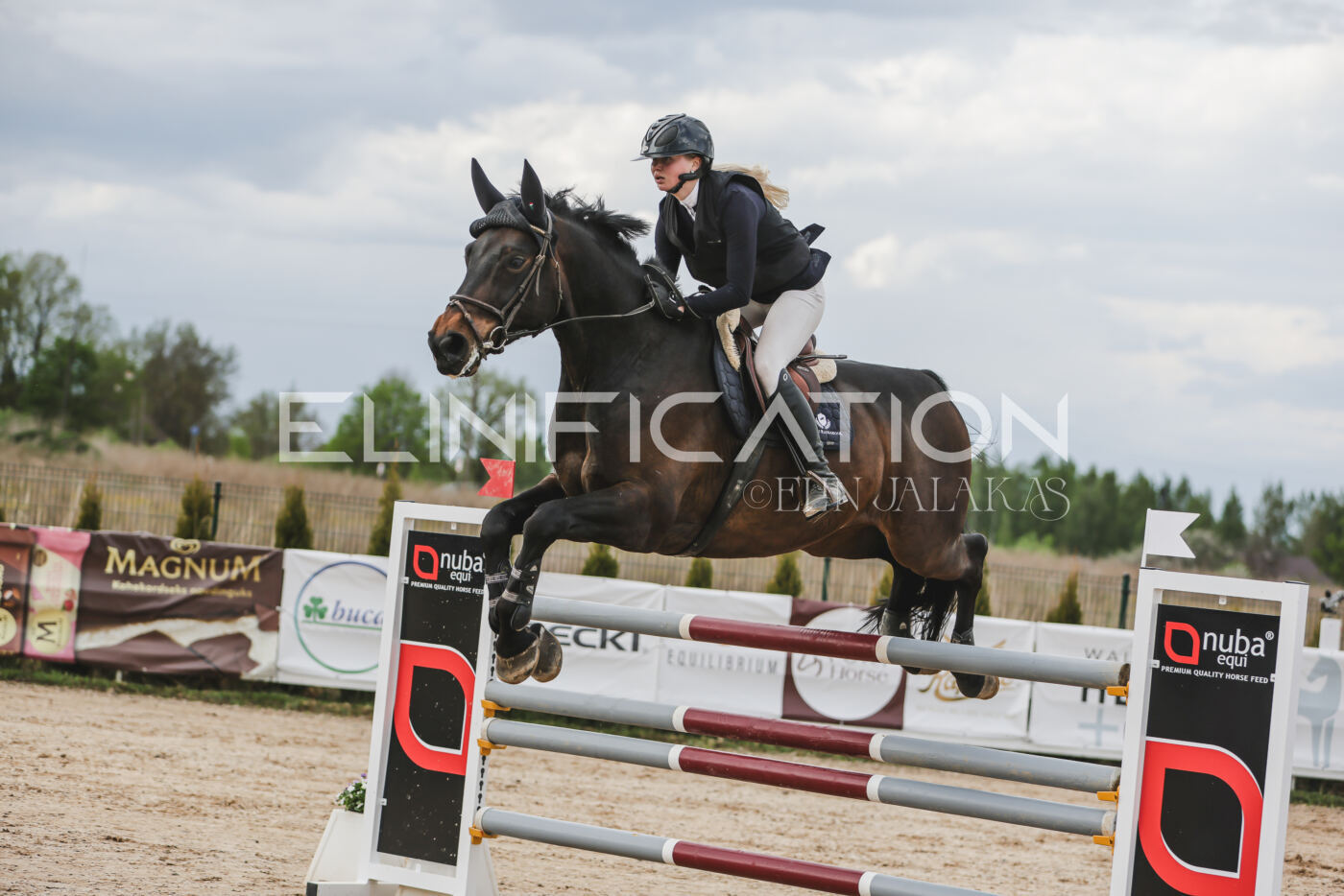 Gramina_Kevad_2026_hc130-135_012