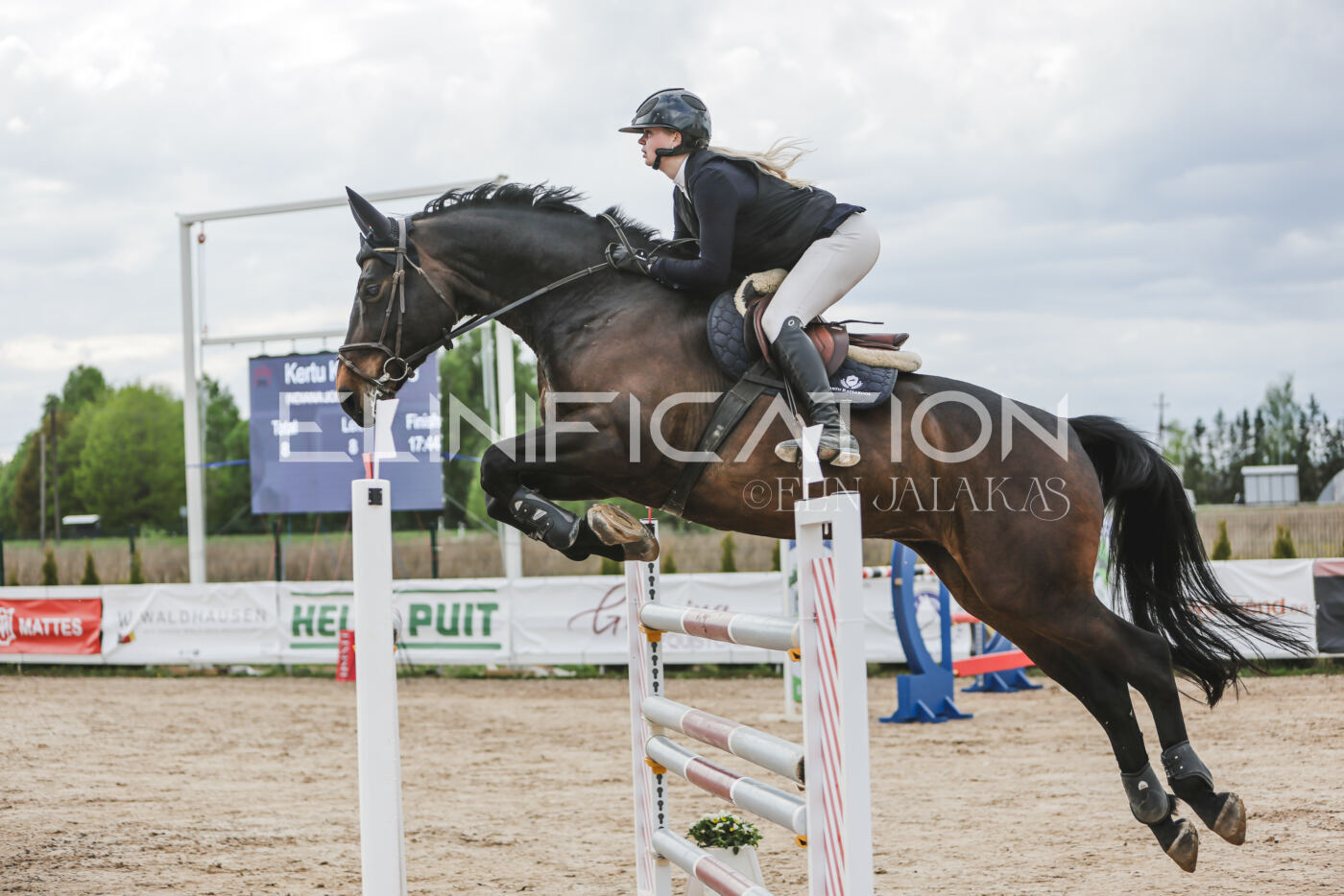 Gramina_Kevad_2026_hc130-135_015