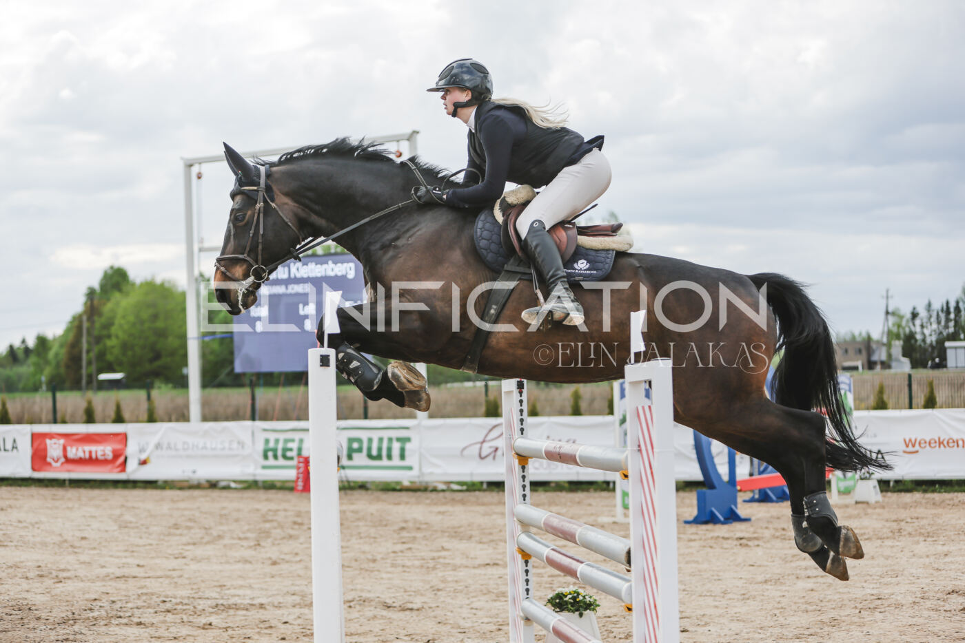 Gramina_Kevad_2026_hc130-135_016