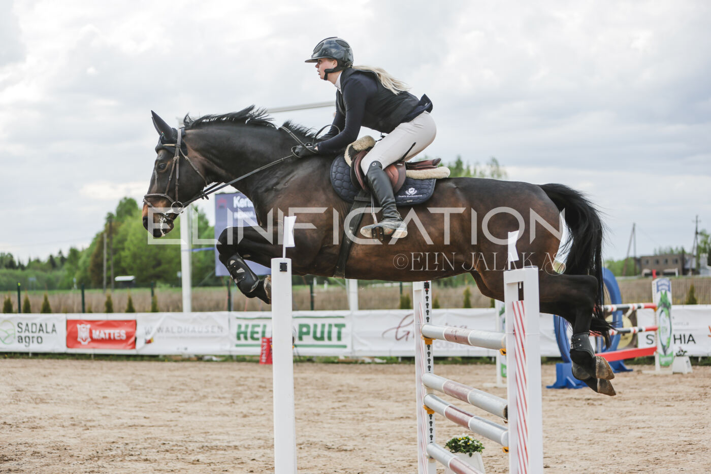 Gramina_Kevad_2026_hc130-135_017