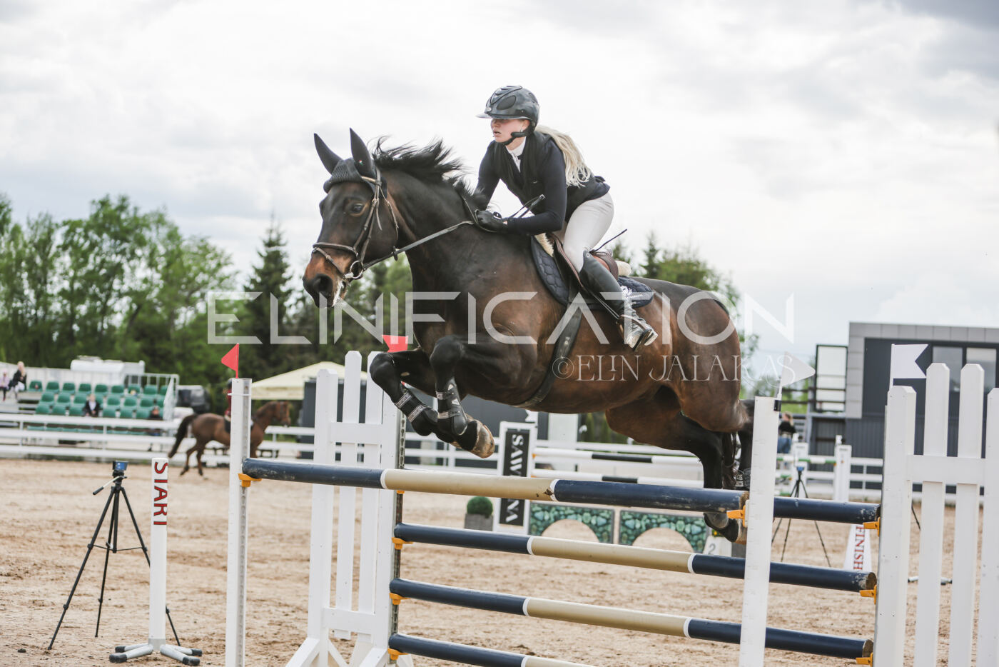 Gramina_Kevad_2026_hc130-135_019