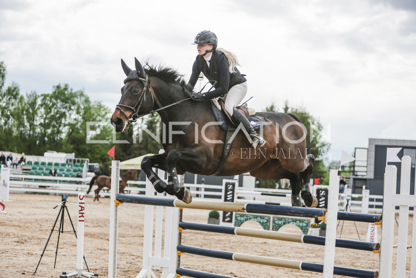 Gramina_Kevad_2026_hc130-135_020