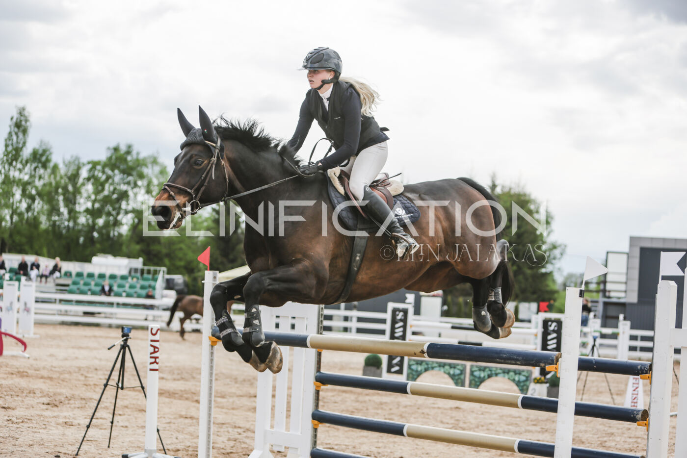 Gramina_Kevad_2026_hc130-135_021