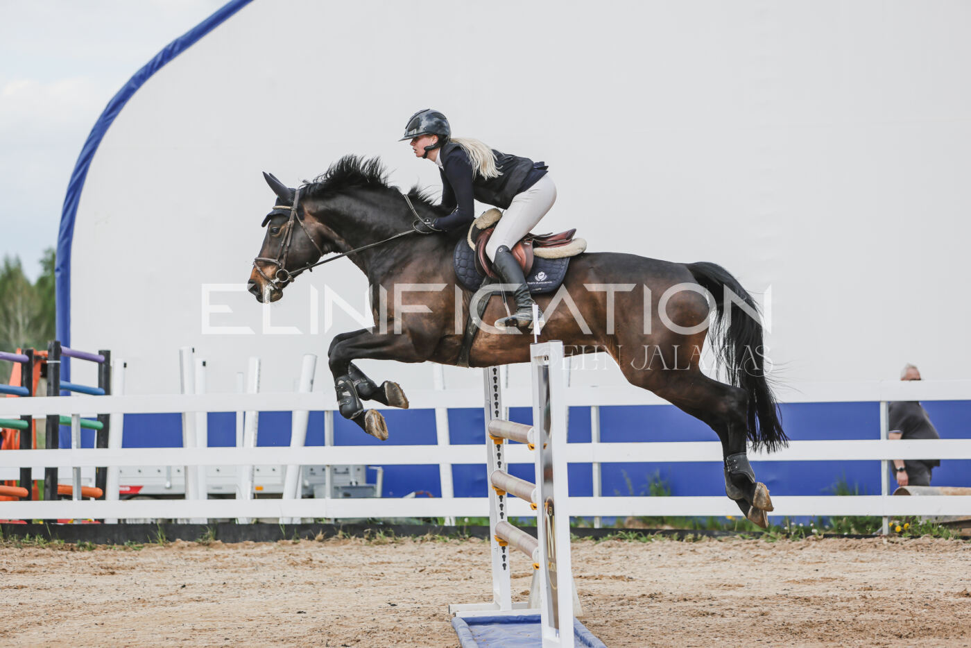 Gramina_Kevad_2026_hc130-135_023