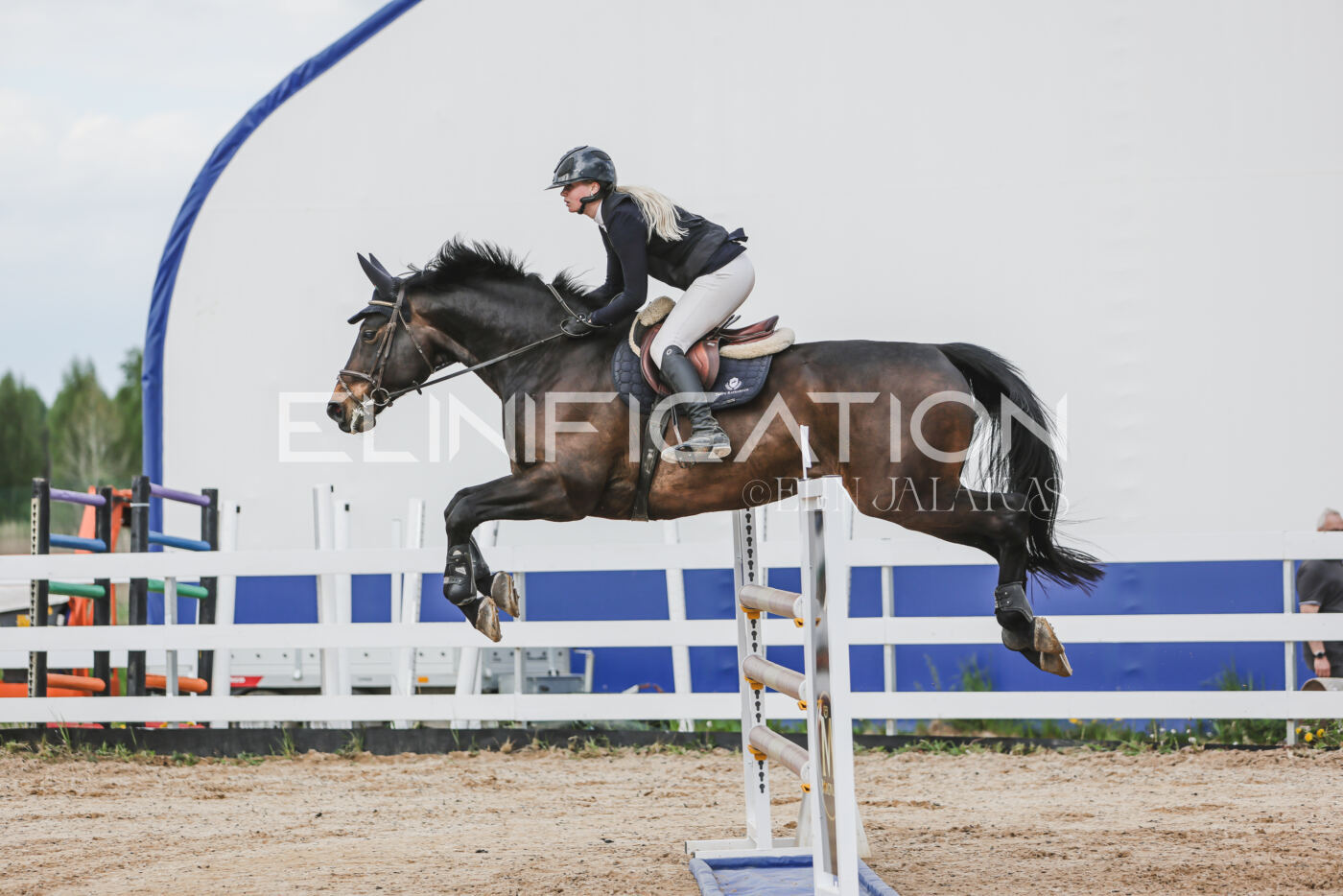 Gramina_Kevad_2026_hc130-135_024