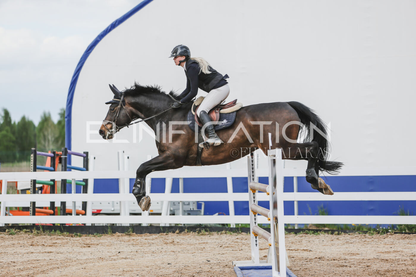 Gramina_Kevad_2026_hc130-135_025