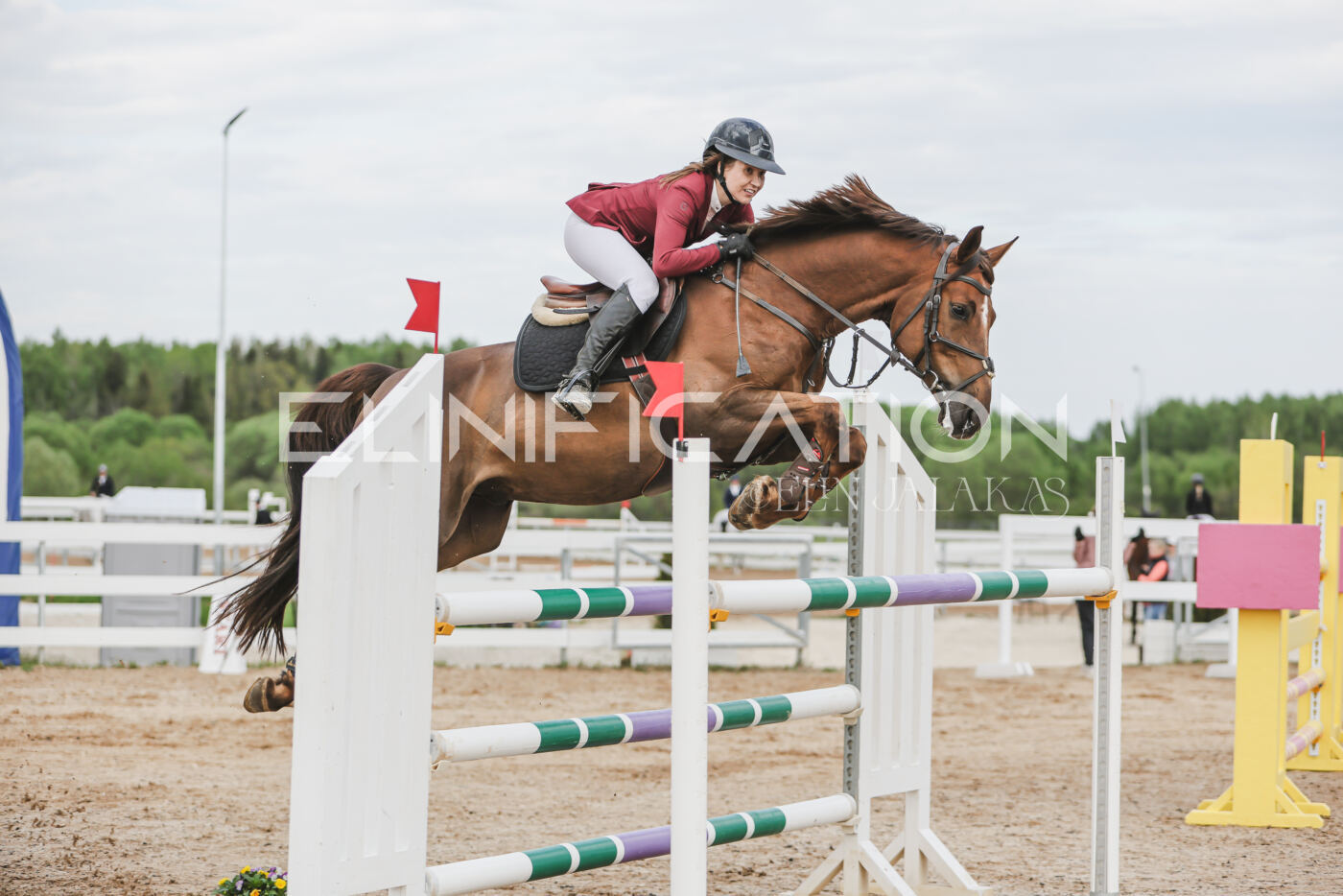 Gramina_Kevad_2026_hc130-135_027