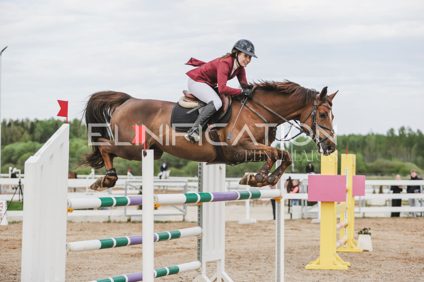 Gramina_Kevad_2026_hc130-135_030