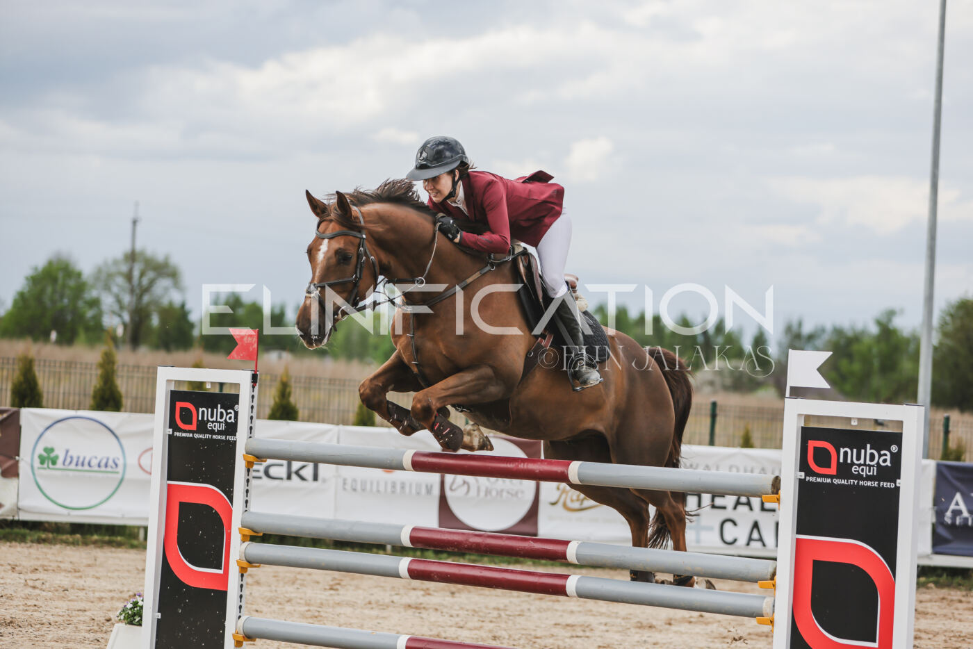 Gramina_Kevad_2026_hc130-135_035