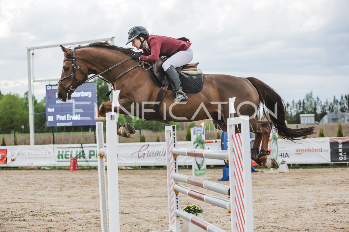 Gramina_Kevad_2026_hc130-135_043