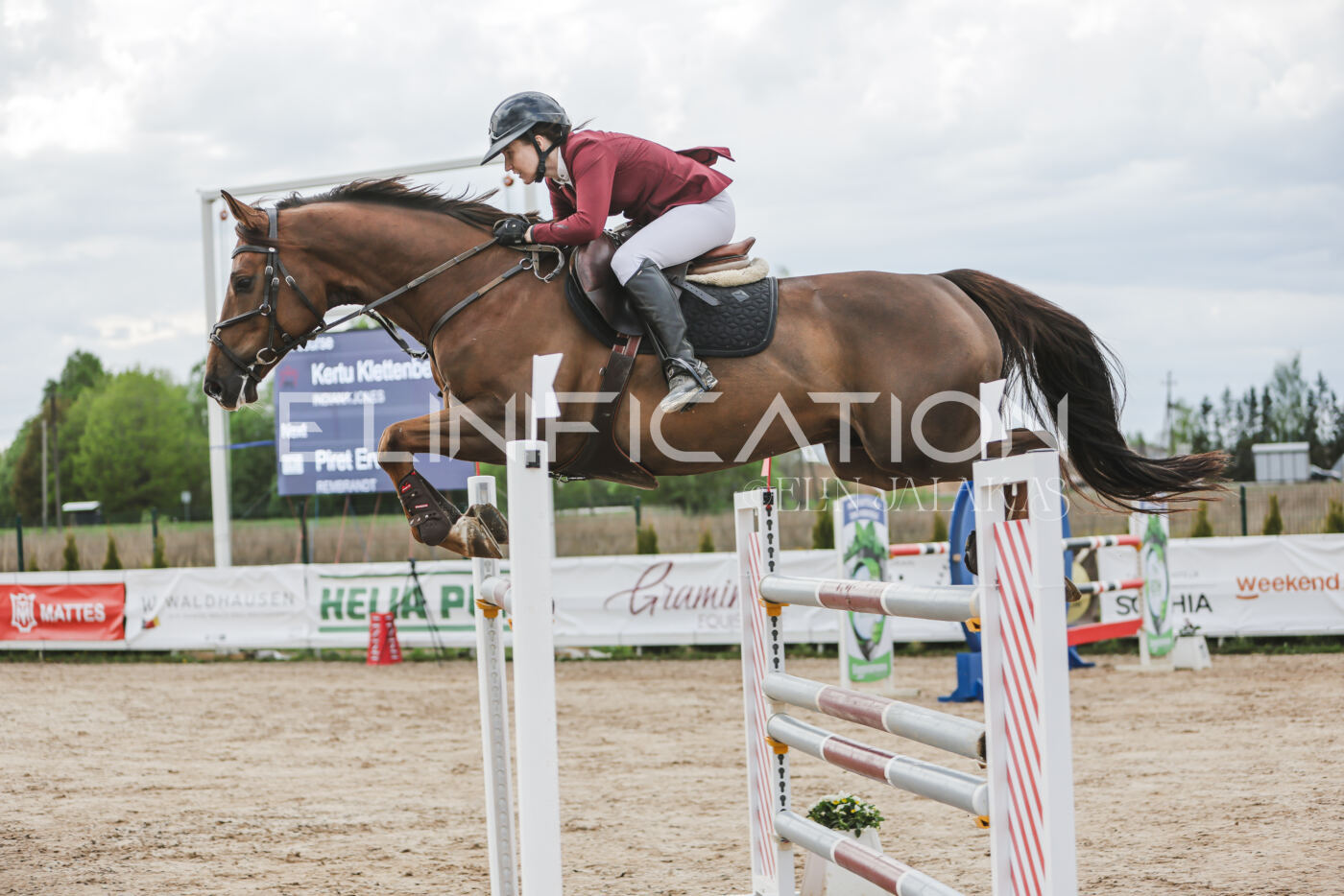 Gramina_Kevad_2026_hc130-135_044