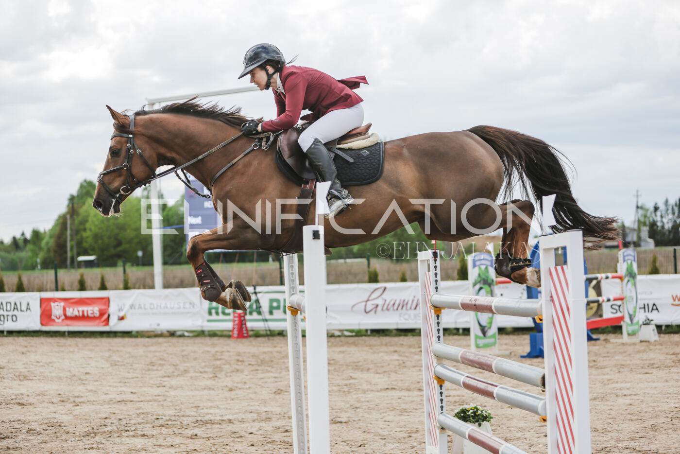 Gramina_Kevad_2026_hc130-135_045