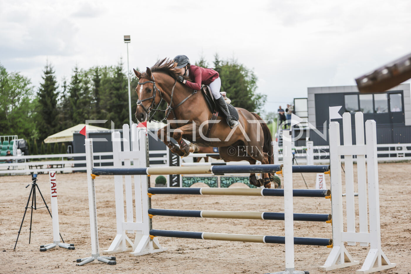 Gramina_Kevad_2026_hc130-135_046