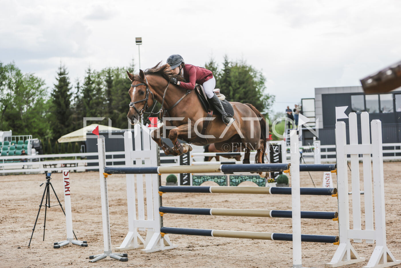 Gramina_Kevad_2026_hc130-135_047