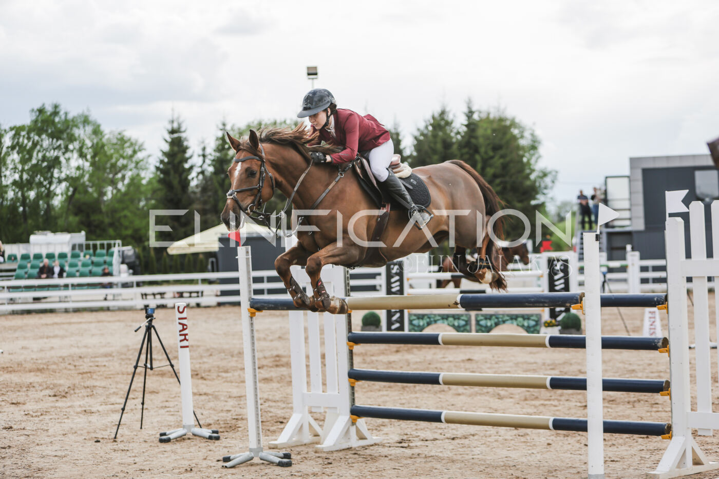 Gramina_Kevad_2026_hc130-135_049
