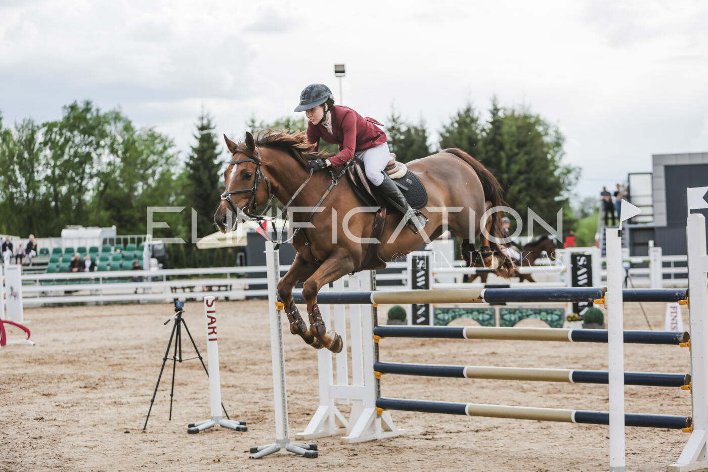 Gramina_Kevad_2026_hc130-135_050