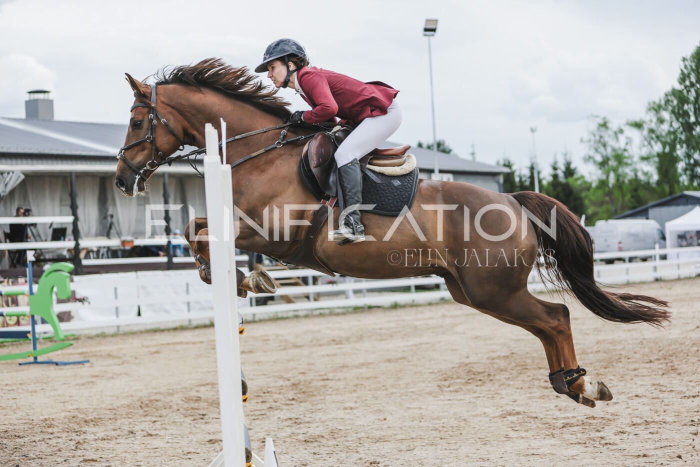 Gramina_Kevad_2026_hc130-135_051