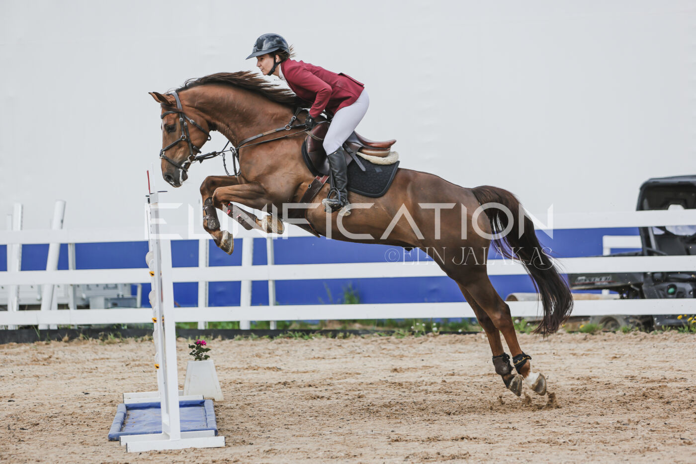 Gramina_Kevad_2026_hc130-135_052