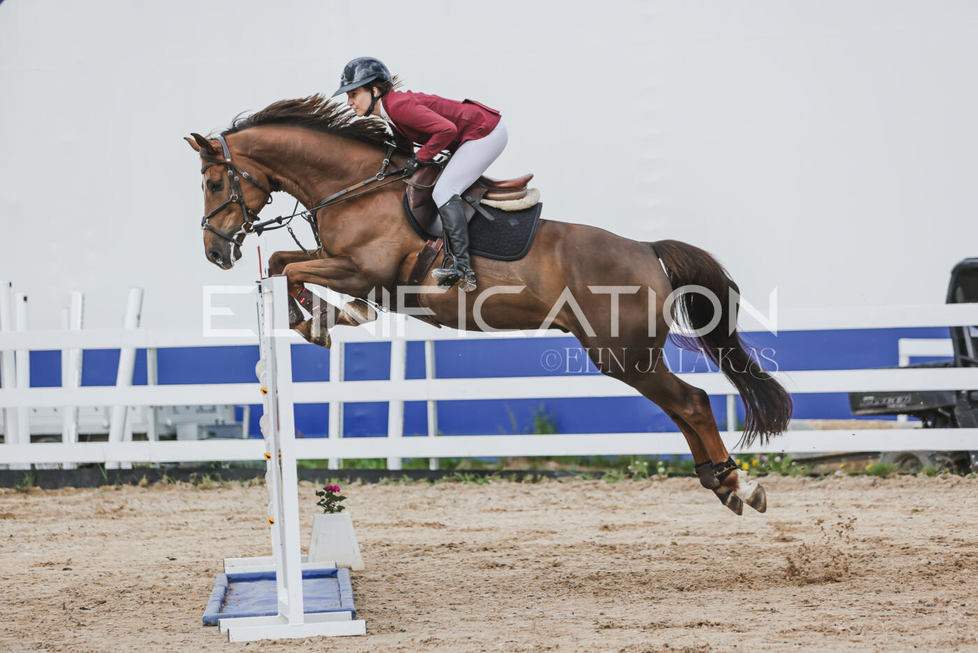 Gramina_Kevad_2026_hc130-135_053