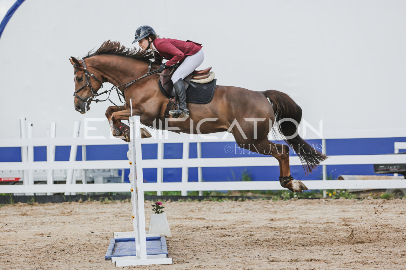 Gramina_Kevad_2026_hc130-135_054