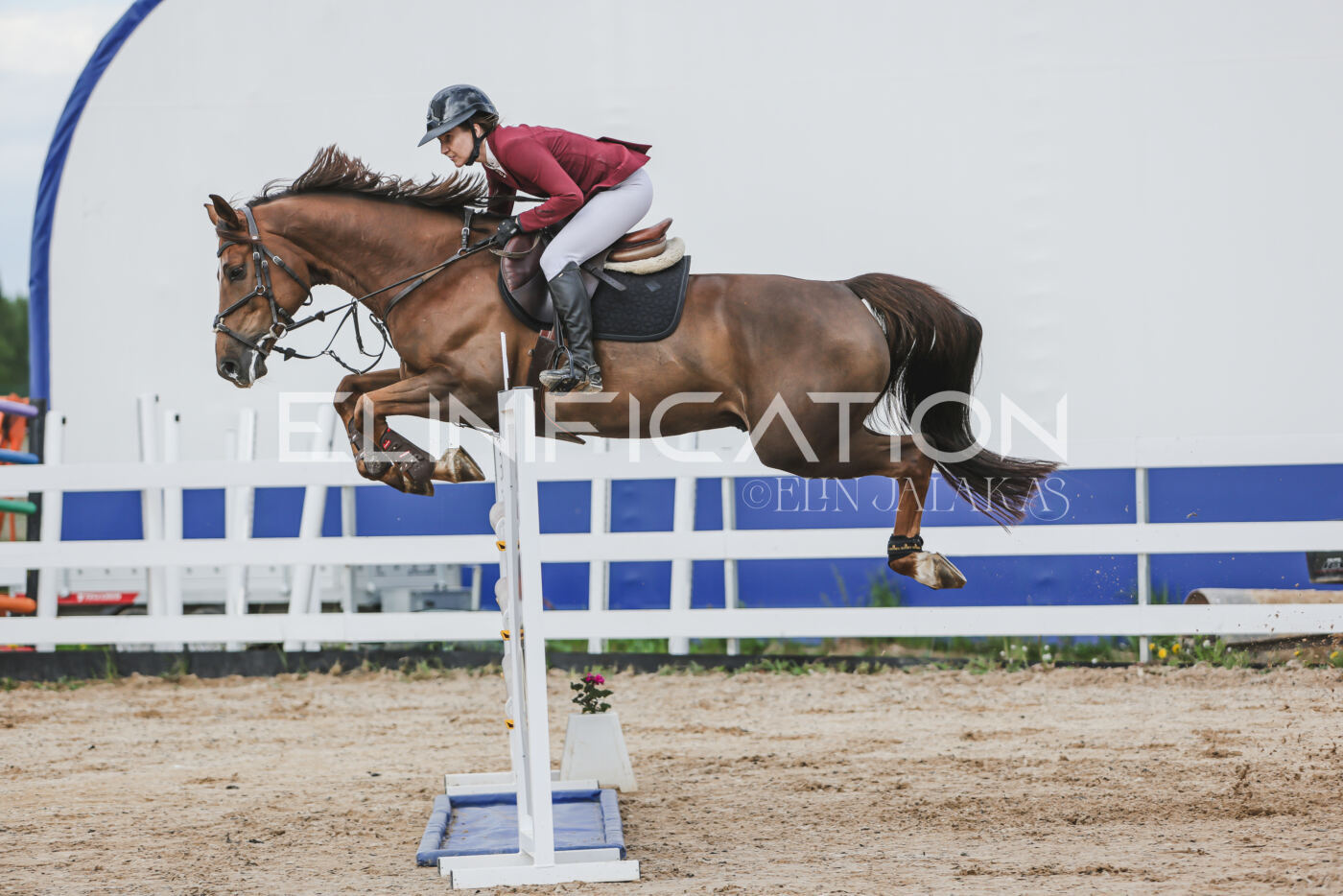 Gramina_Kevad_2026_hc130-135_055