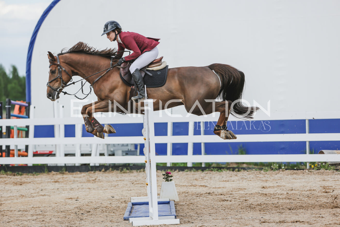 Gramina_Kevad_2026_hc130-135_056