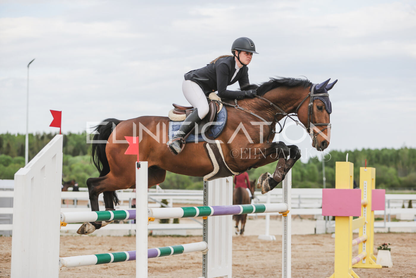 Gramina_Kevad_2026_hc130-135_059