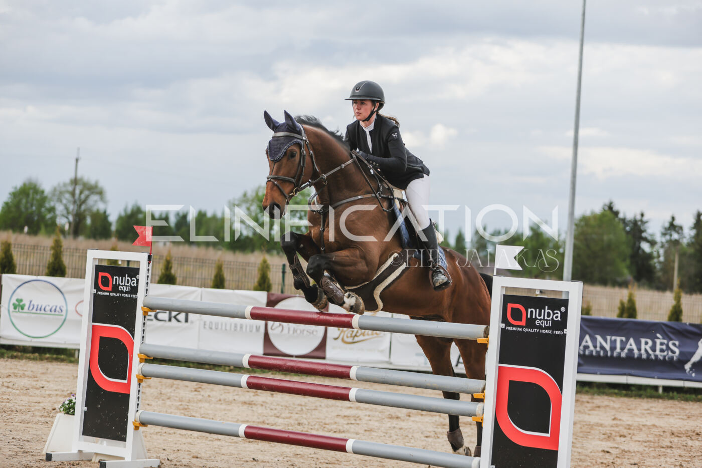 Gramina_Kevad_2026_hc130-135_064
