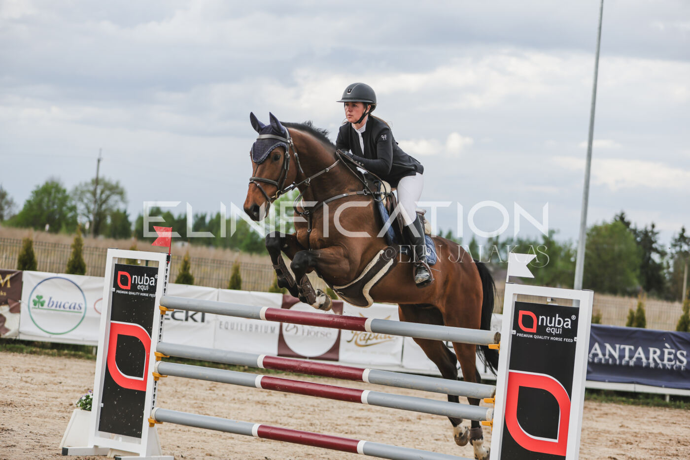Gramina_Kevad_2026_hc130-135_065