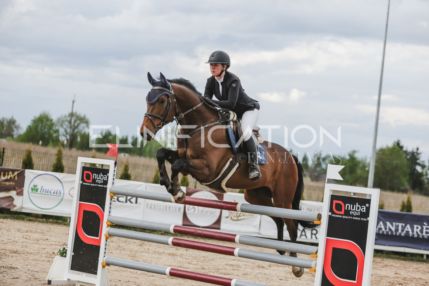 Gramina_Kevad_2026_hc130-135_066