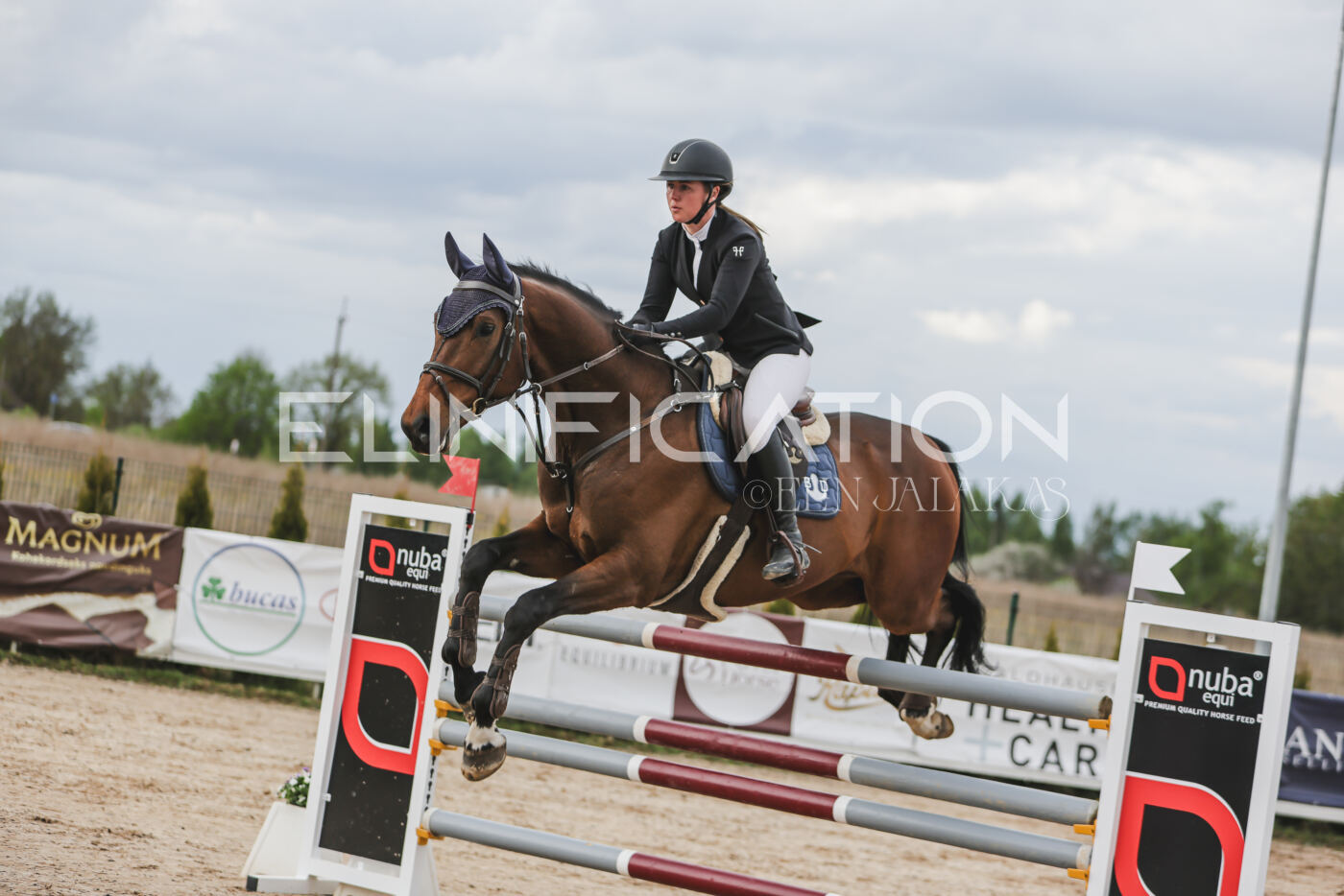 Gramina_Kevad_2026_hc130-135_068