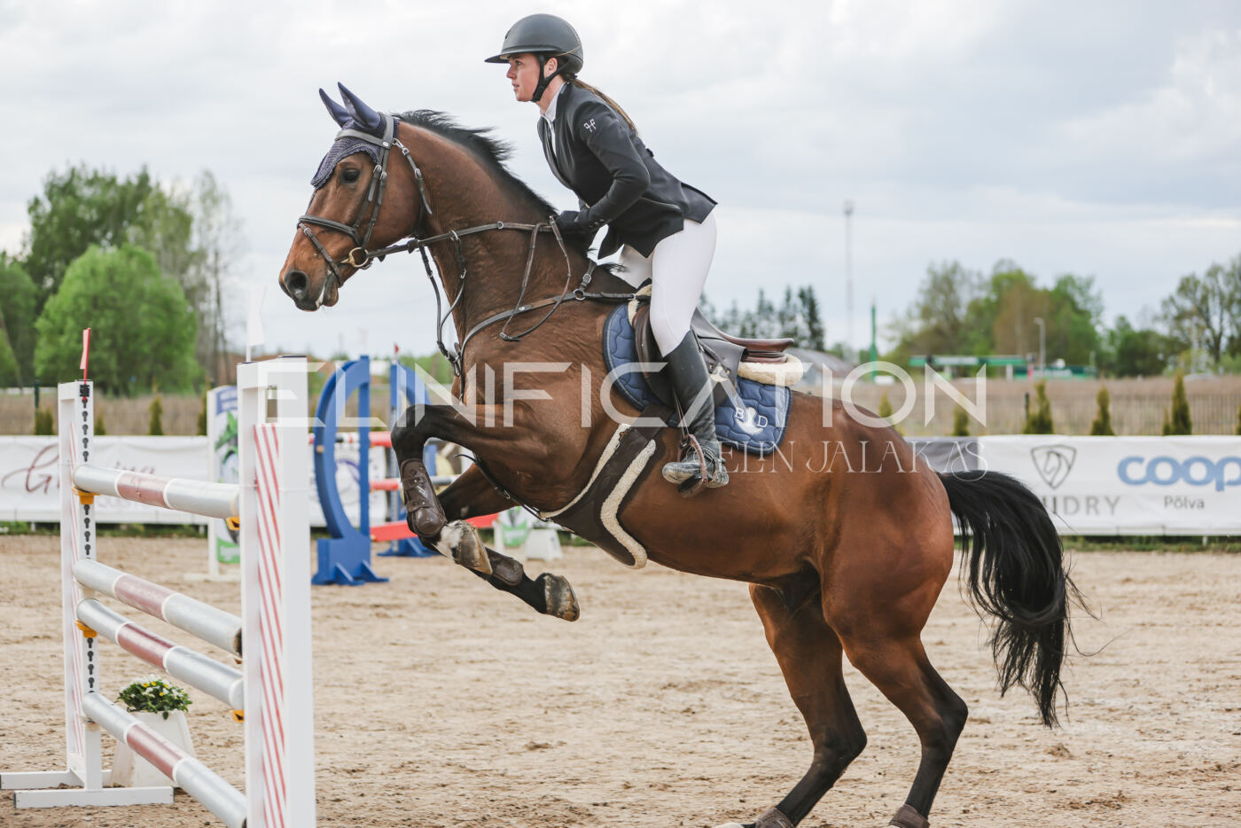 Gramina_Kevad_2026_hc130-135_070