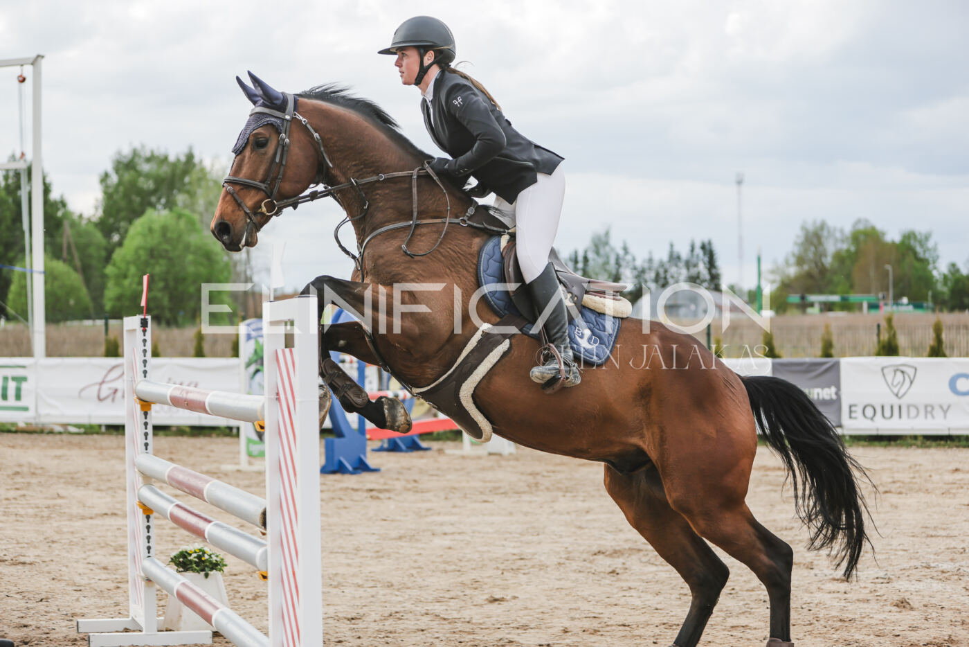 Gramina_Kevad_2026_hc130-135_071