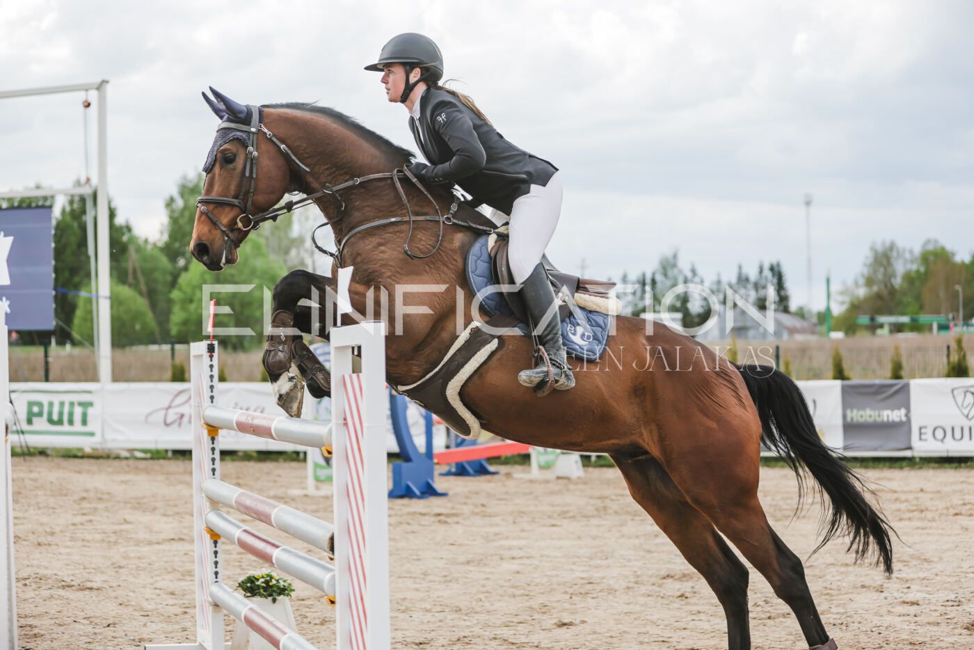 Gramina_Kevad_2026_hc130-135_072